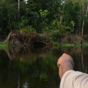 Amazone boot excursie, Brazilie