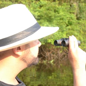 Wildlife spotten in de Amazone, Brazilie