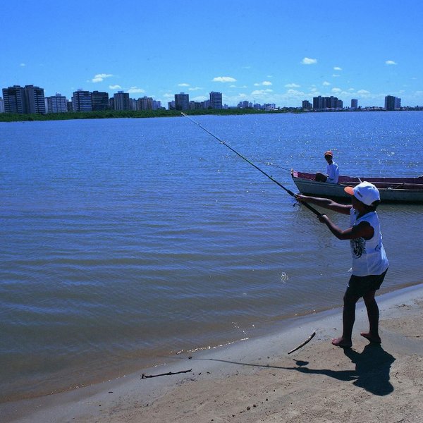 Vissen aracaju Brazilie