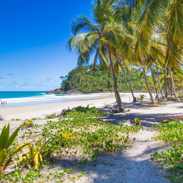 Strand Itacare Brasilien