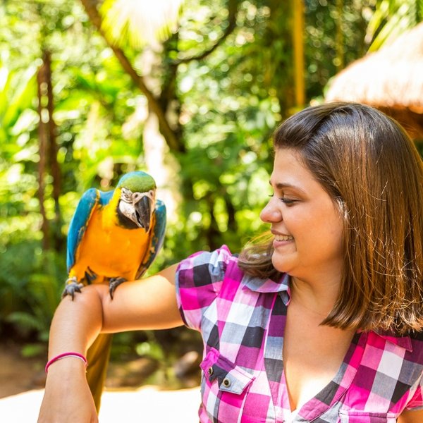 Vogelpark Foz do Iguacu Brasilien