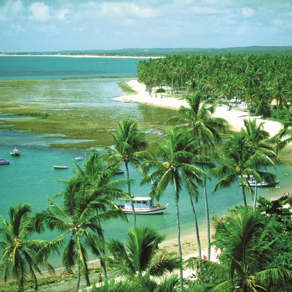 Kleine Boote Strand Praia do Forte Brasilien