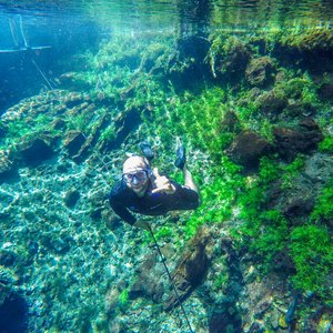 River snorkeling Nascente Azul Bonito