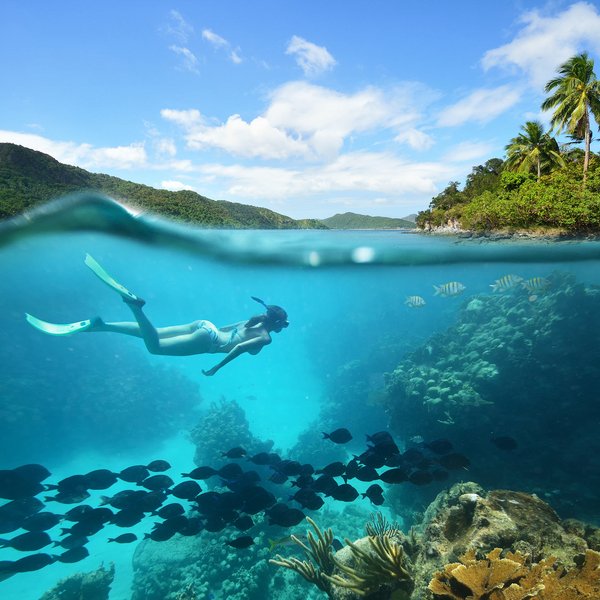 Schnorcheln Fernando de Noronha Brasilien