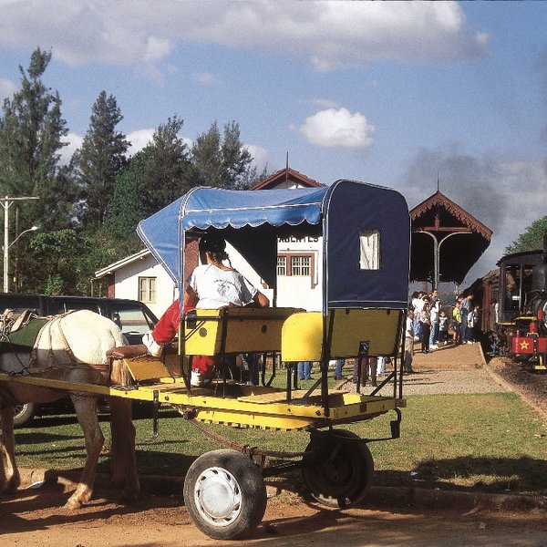 Kutschfahrt Tiradentes Brasilien